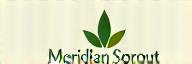 Meridian Sprout Logo