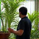 A man admiring his lush indoor plant collection.